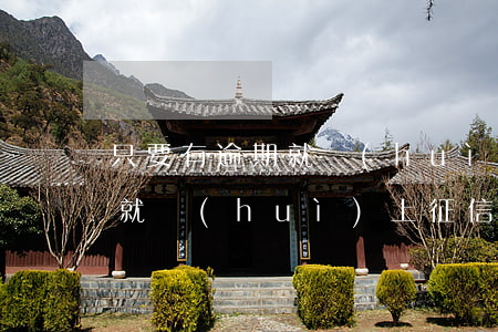 只要有逾期就會(huì)上征信 只要逾期就會(huì)上征信嗎