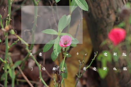 只要沒(méi)逾期就能申請(qǐng)信用卡嗎(有逾期也能申請(qǐng)的信用卡)