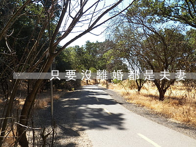 只要沒離婚都是夫妻