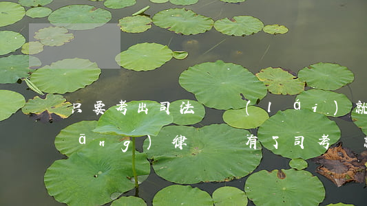 只要考出司法證來(lái)就可以當(dāng)律師嗎(有了司考證就能當(dāng)律師嗎)