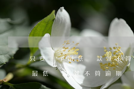 只要還了最低還款就不算逾期嗎-只要還了最低還款就不算逾期嗎為什么