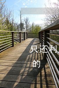 只还利息最后还本金的(只还利息最后还本金的)