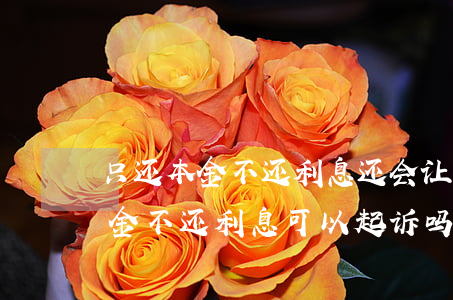 只还本金不还利息还会让黑名单吗-只还本金不还利息可以起诉吗