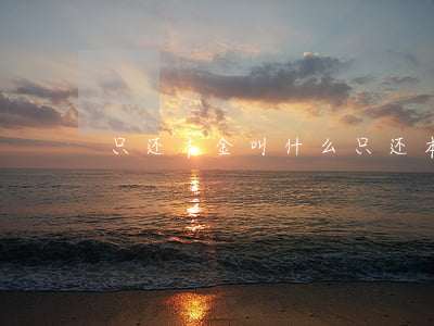 只还本金叫什么(只还本金不还利息叫什么)
