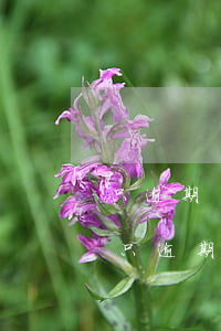 只逾期過一次影響公務(wù)卡辦理嗎-只逾期過一次影響公務(wù)卡辦理嗎
