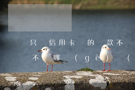只還信用卡別的貸款不還(貸款不還和信用卡不還哪個(gè)嚴(yán)重)