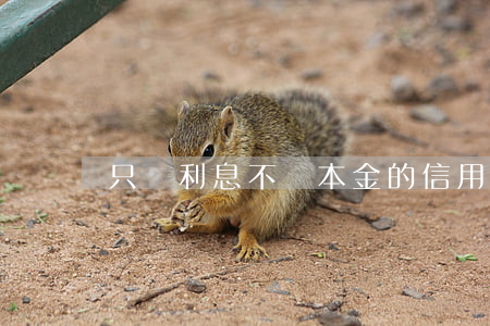 只還利息不還本金的信用卡