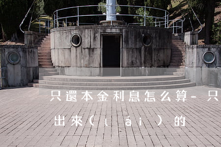 只還本金利息怎么算-只還本金利息怎么算出來(lái)的