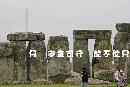 只還本金可行嗎 能不能只還本金