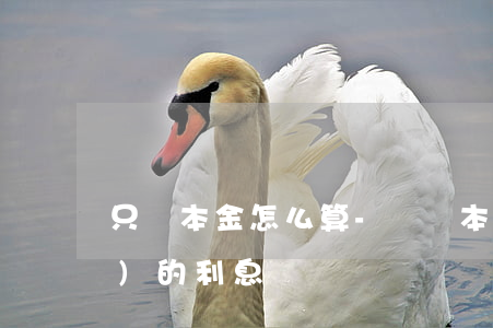 只還本金怎么算-僅還本金對應(yīng)的利息