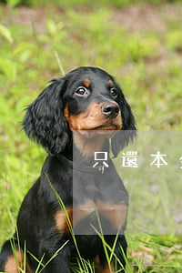 只還本金的平臺