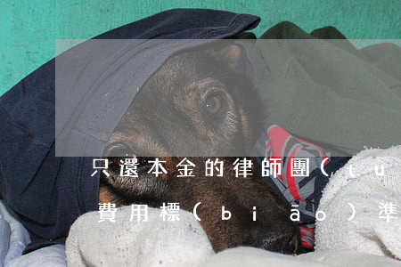 只還本金的律師團(tuán)隊(還錢律師費用標(biāo)準(zhǔn))
