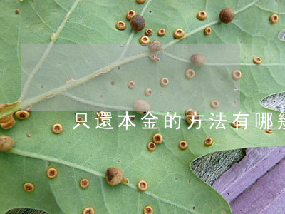 只還本金的方法有哪幾種（只還本金的方法）