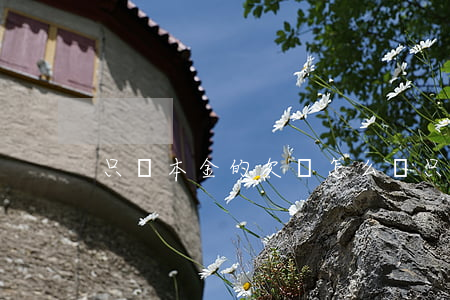 只還本金的欠條怎么寫(只還本金的怎么應對)