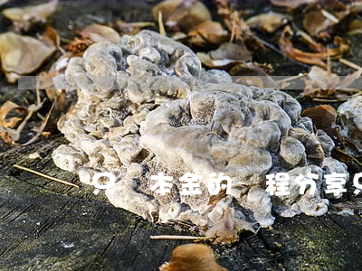 只還本金的過程分享 只還本金的過程分享