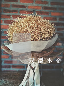 只還本金靠譜嗎 只需還本金