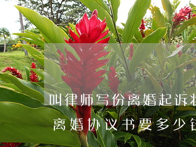 叫律师写份离婚起诉状要多少钱(律师写一份离婚协议书要多少钱)