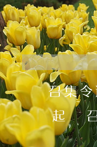 召集令逾期會(huì)不會(huì)被起訴(召集令逾期會(huì)起訴嗎)