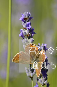 召集令逾期會(huì)爆通訊錄嗎（召集令逾期5000會(huì)被起訴嗎）