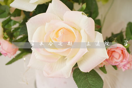 召集令逾期會上法院嗎（召集令逾期多久起訴）