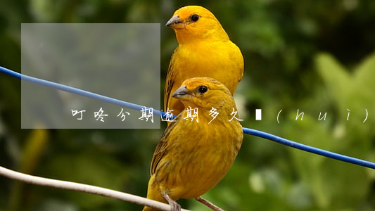 叮咚分期逾期多久會(huì)起訴