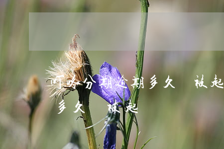 叮咚分期逾期多久會被起訴-叮咚分期逾期多久會被起訴