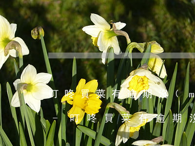 叮咚買菜有逾期沒(méi)失信能上崗嗎-叮咚買菜有逾期沒(méi)失信能上崗嗎知乎