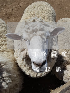 叮咚貸逾期多久會被起訴 叮咚貸逾期多久會被起訴