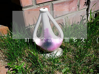叮咚金融逾期多久會(huì)起訴