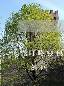 叮咚钱包逾期还款后果(叮咚钱包有退回本金的吗)