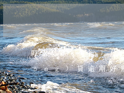 叮當(dāng)信用卡借款逾期(叮當(dāng)貸逾期好幾年了現(xiàn)在要還怎么協(xié)商)