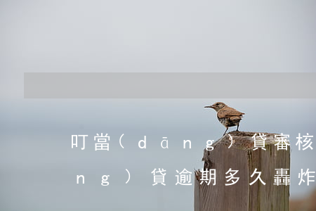 叮當(dāng)貸審核要多久（叮當(dāng)貸逾期多久轟炸）