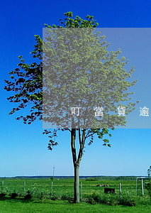 叮當貸逾期一天法院(按揭貸款逾期一天)