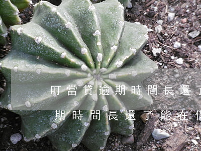 叮當貸逾期時間長還了能在借嗎-叮當貸逾期時間長還了能在借嗎
