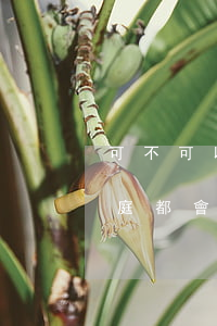 可不可以法院開庭當天看直播嗎(所以所有開庭都會在網(wǎng)上直播嗎)