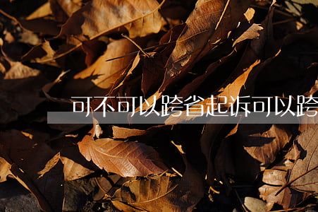 可不可以跨省起诉（可以跨省起诉欠钱吗）
