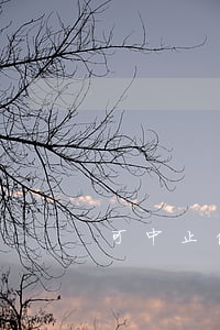可中止供電的情形具體有哪些