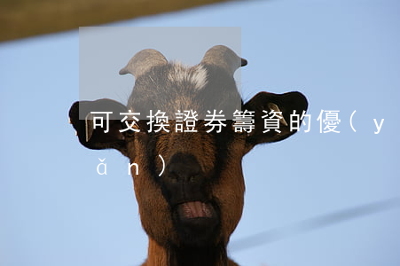 可交換證券籌資的優(yōu)缺點(diǎn)