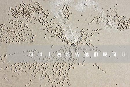 可以上法院告他们吗(可以上法院告他们吗)