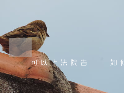 可以上法院告狀嗎(如何狀告法院)