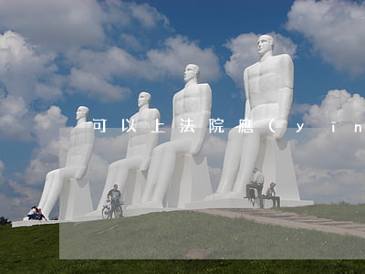 可以上法院應(yīng)訴嗎