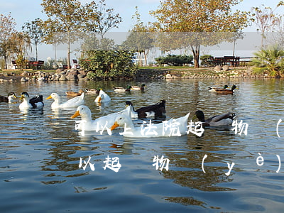 可以上法院起訴物業(yè)嗎(什么情況可以起訴物業(yè))