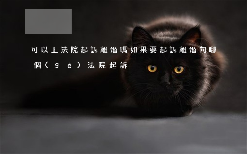 可以上法院起訴離婚嗎(如果要起訴離婚向哪個(gè)法院起訴)