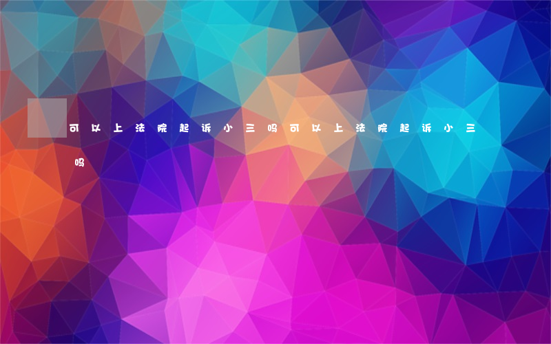 可以上法院起诉小三吗(可以上法院起诉小三吗)