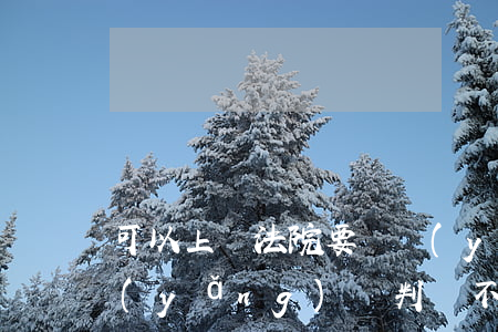 可以上訴法院要撫養(yǎng)費嗎(撫養(yǎng)費判決不服上訴有必要嗎)