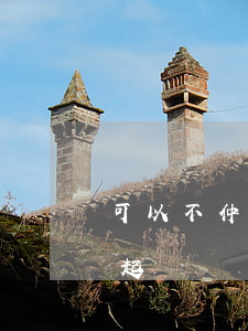 可以不仲裁直接訴訟嗎(不服仲裁可向法院提起訴訟)