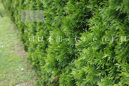可以不出認(rèn)何廢找法律要錢嗎