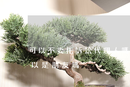 可以不委托訴訟代理人嗎(委托訴訟代理人可以是朋友嗎)