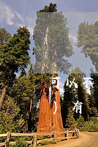 可以不繼承遺產(chǎn)嗎(沒(méi)有繼承人遺產(chǎn)怎么辦)