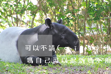 可以不請(qǐng)律師自己去法院起訴嗎(自己可以起訴嗎不用找律師可以嗎)